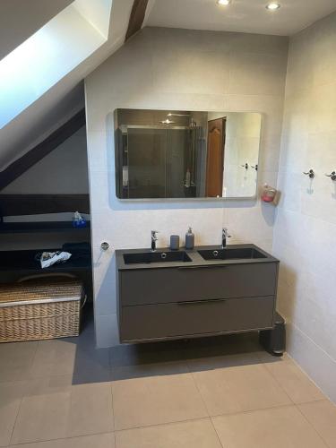 une salle de bain avec un lavabo et un miroir dans l'établissement Le Logis Du Regisseur, à Charny