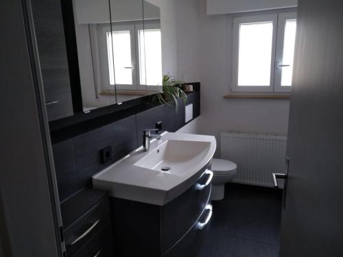 a bathroom with a sink and a toilet at Ferienwohnung Am Bach in Müllheim