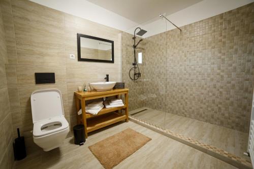 een badkamer met een toilet en een wastafel bij Golden House Banffy in Topliţa