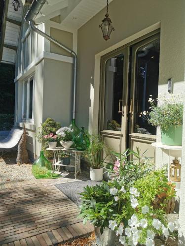 a porch with a bunch of potted plants on it at La Villa du Pré Du Cerf in Spa