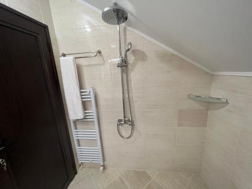 a shower with a ladder in a bathroom at Къща за гости Стефи in Samokov