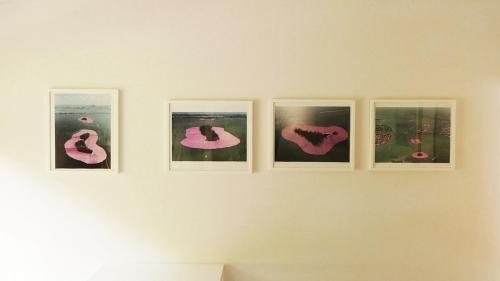 een groep foto's aan een muur bij Akizuki Gallery House in Asakura