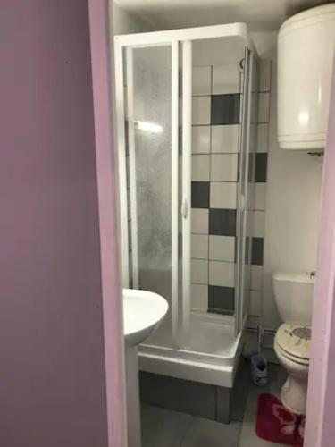 une salle de bain avec une douche, un lavabo et des toilettes dans l'établissement Studio le treport, au Tréport