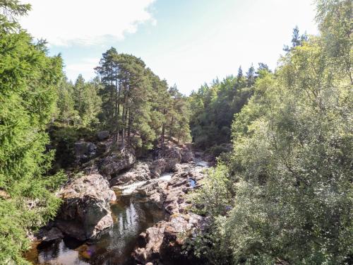 a river in the middle of a forest at Ash in Newtonmore