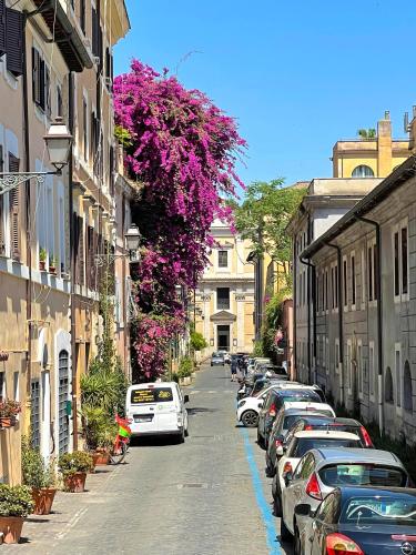 Cozy & Charme Apartment in Rome