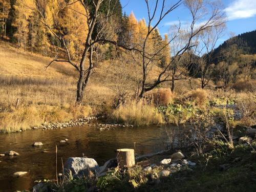 a river with rocks and trees in a field at Къща край реката - Триград in Trigrad
