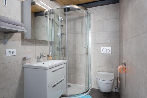 a bathroom with a shower and a sink and a toilet at Gallery apartment in Skrbcici (Krk) in Skrbčići