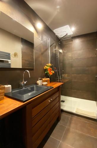 une salle de bain avec un lavabo et une douche dans l'établissement La Maison du Champ de Beaumont, à Galgon