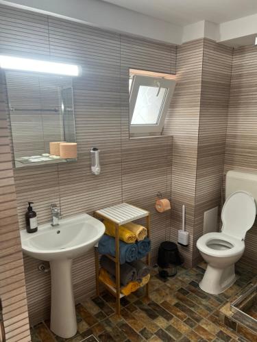 ein Bad mit einem WC und einem Waschbecken in der Unterkunft Vila Alga in Sulina