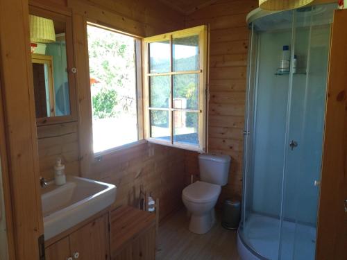 a bathroom with a toilet and a sink and a shower at Casa do Vale de Gondra in Castelo de Paiva