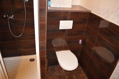 a small bathroom with a toilet and a shower at Penzion54 & Restaurace in Ostrov