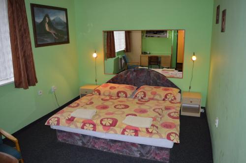 a bedroom with a bed and a large mirror at Penzion54 & Restaurace in Ostrov