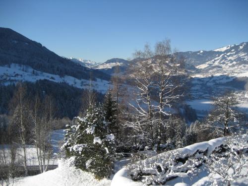 a snow covered mountain with trees and a lake at Haus Voithofer in Sankt Johann im Pongau