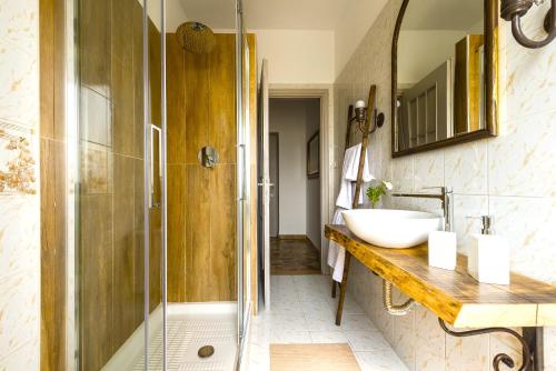 La salle de bains est pourvue d'un lavabo et d'une douche. dans l'établissement Hostly - Il Casale dei Ninì, à San Giuliano Terme