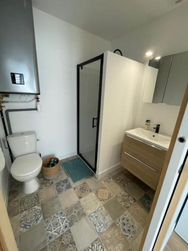 une salle de bain avec une douche, des toilettes et un lavabo dans l'établissement Superbe studio moderne chic, à Saint-Juéry-les-Azalate