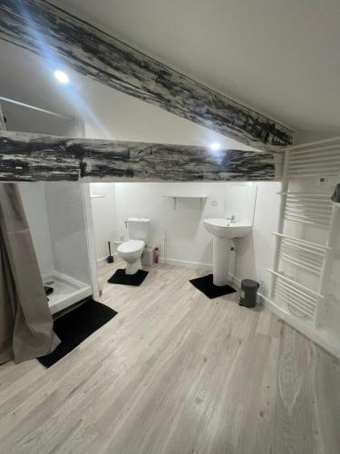 a bathroom with two toilets and a sink at studio rénové 30m2 a 5 min de la gare in Bordeaux