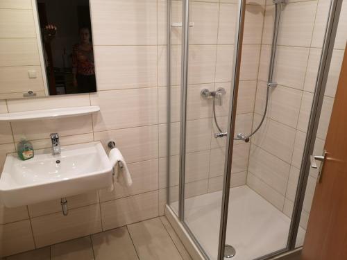 La salle de bains est pourvue d'une douche et d'un lavabo. dans l'établissement B3 Ferienwohnubg im Schwarzwald, à Menzenschwand