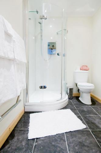 a bathroom with a shower and a toilet and a rug at Riverside Apartments in Wick
