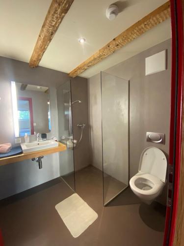 La salle de bains est pourvue de toilettes et d'un lavabo. dans l'établissement Zyba-Hotelzimmer-Vermietung Aesch Kanton Luzern, à Aesch