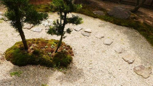 a small pine tree in a rock garden at Akizuki Niwa (Garden) House in Asakura