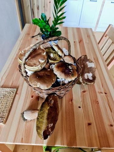 una cesta de setas sobre una mesa de madera en chata Zorka, en Opařany