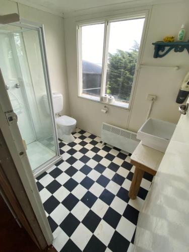 a bathroom with a shower and a sink and a toilet at Wilsons Prom Views - Prom View Shack 