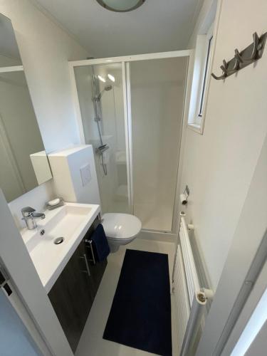 a bathroom with a shower and a sink and a toilet at Aloha-Olmenduin in Serooskerke