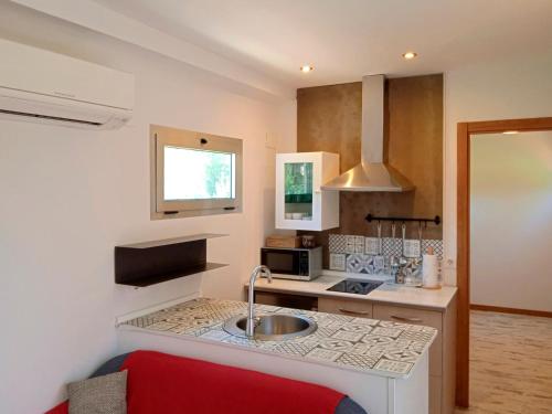 a kitchen with a sink and a counter top at El Vagón de Baides in Baides