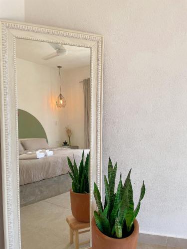 a mirror in a bedroom with two potted plants at La Ventana Hostel in La Ventana