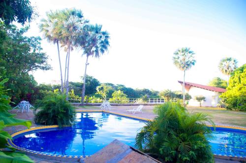 una gran piscina con palmeras en un patio en Delta Park Hotel, en Parnaíba
