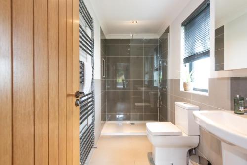 a bathroom with a shower and a toilet and a sink at Blossom Lodge, 1 Roadford Lake Lodges in Lifton