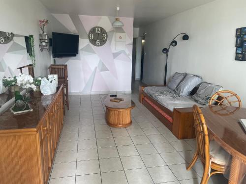 TV a/nebo společenská místnost v ubytování appartement des aigrettes saint gilles les bains