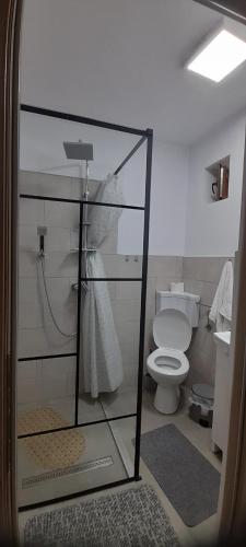 a bathroom with a toilet and a glass door at Pensiunea Mia in Statiunea Borsa