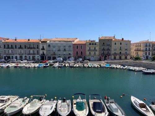 a group of boats are docked in a harbor at SETE - 6 Quai Louis Pasteur in Sète