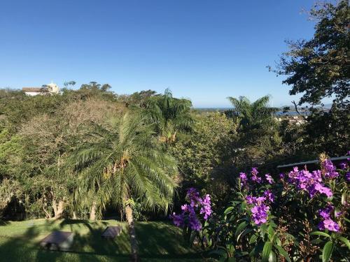 a garden with palm trees and purple flowers at Studios Altos da Igrejinha in Florianópolis