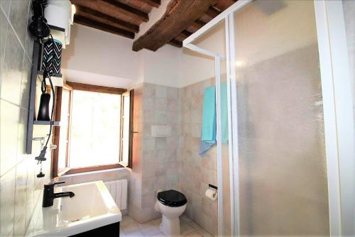 a bathroom with a shower and a sink and a toilet at Lo Scricciolo in Montecastelli Pisano