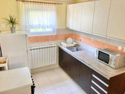 eine Küche mit einer Spüle und einer Mikrowelle in der Unterkunft Mlinovi in Zagreb