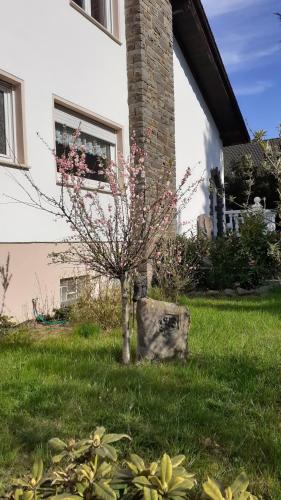 a small tree in the grass in front of a house at Im Vulkanland Fewo bis 6 Personen in Ettringen