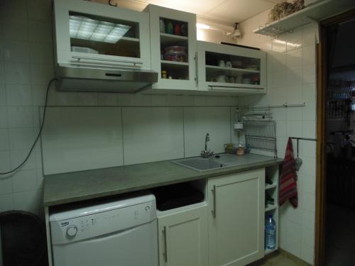 cocina con armarios blancos, fregadero y lavavajillas en LOGIS DE NANO, en Gratens