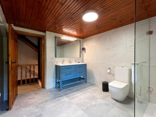a bathroom with a blue sink and a toilet at Casa Rural Puerto del Escudo in Cilleruelo de Bezana