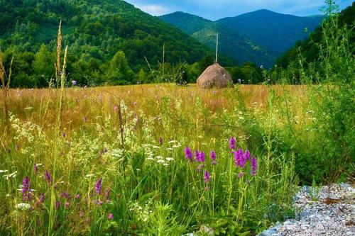 Φυσικό τοπίο κοντά σε αυτή η παραθεριστική κατοικία