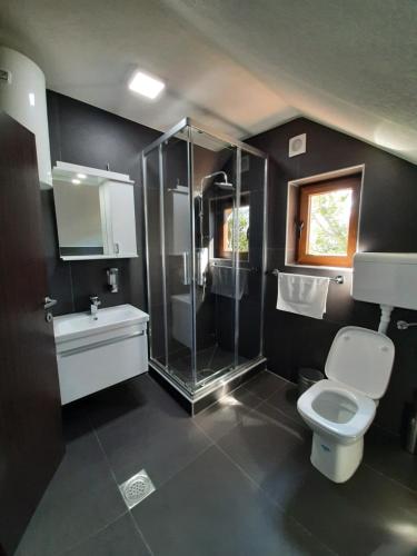 ein Bad mit einer Dusche, einem WC und einem Waschbecken in der Unterkunft Fern Farm Eco Studio Apartment in Mojkovac
