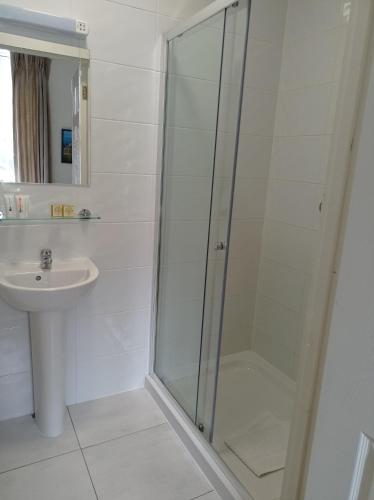 a bathroom with a shower and a sink at Tom Dick and Harriet's Accommodation in Dublin