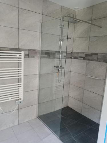 a shower with a glass door in a bathroom at 2 chambres d'hôtes au calme proche centre ville in Mont-de-Marsan