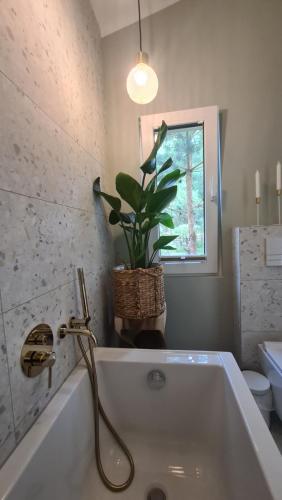 ein Badezimmer mit einer Badewanne mit Pflanze in der Unterkunft O!-Kruszek in Kruszka