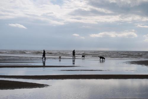 two people and two dogs on the beach at Hare & Hounds Bed & Breakfast in Rye