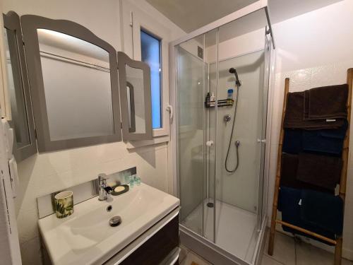 a bathroom with a sink and a shower at L'EssenCiel du Lac in Éguzon-Chantôme