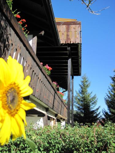 Φωτογραφία από το άλμπουμ του Appartementhaus Schwarzwaldblick σε Lauterbach