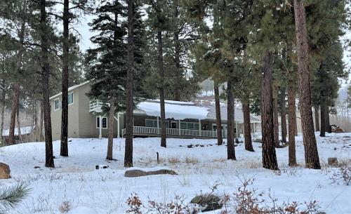Το 794 Lake View Drive Cabin at Vallecito Lake τον χειμώνα