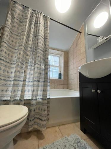 een badkamer met een wastafel en een douchegordijn bij Northern Liberties Retreat in Philadelphia